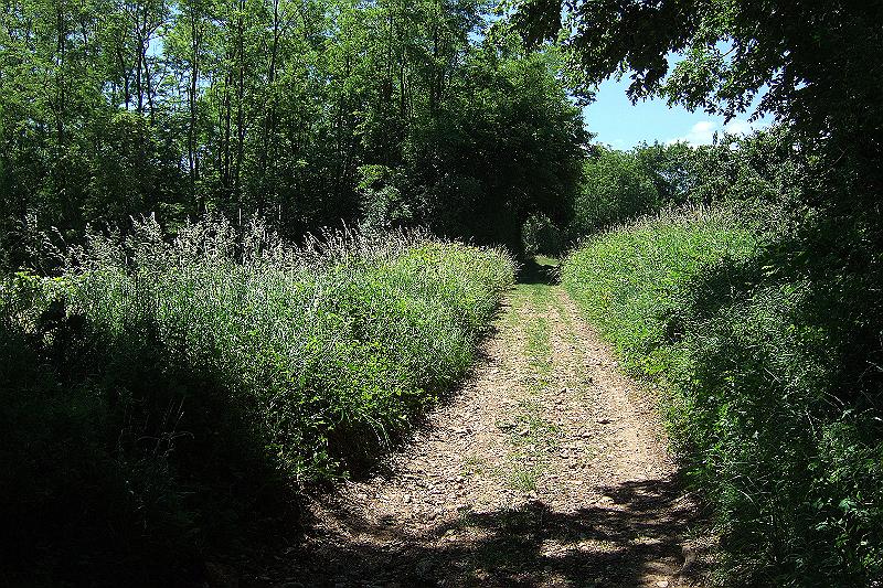 2010-06- (74).JPG